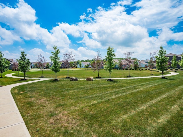 4357 Bluebird Dr, Powell, OH 43065 - photo 33