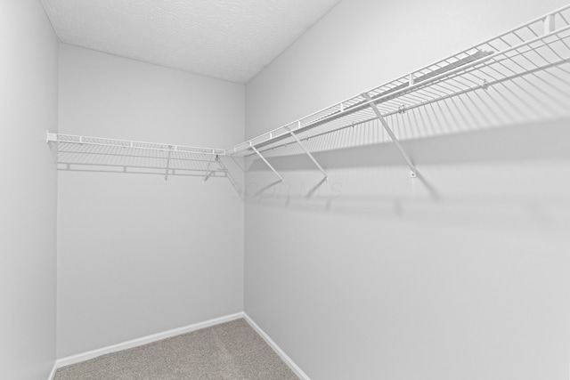 4690 Ascot Dr, Columbus, OH 43229 - spacious closet featuring carpet floors