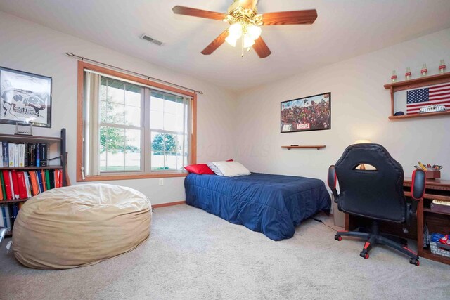 618 Linden Ln, Willard, OH 44890 - photo 44