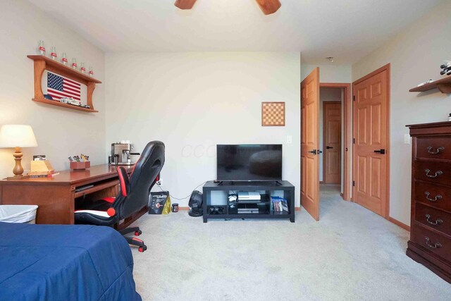 618 Linden Ln, Willard, OH 44890 - photo 46