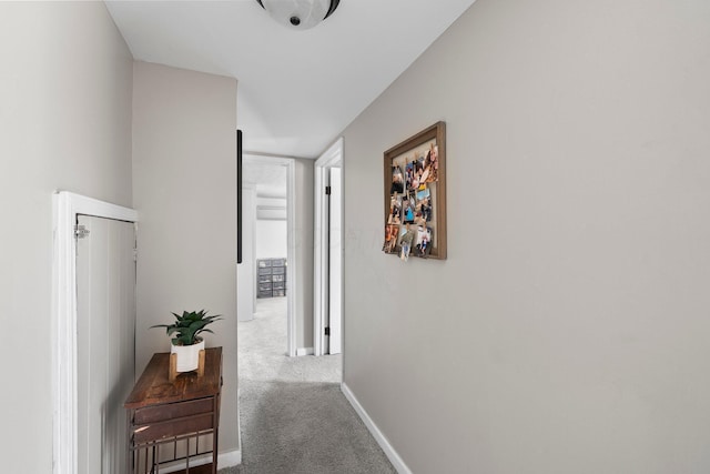 3053 E Old Duvall Ct, Lockbourne, OH 43137 - corridor featuring carpet floors and baseboards