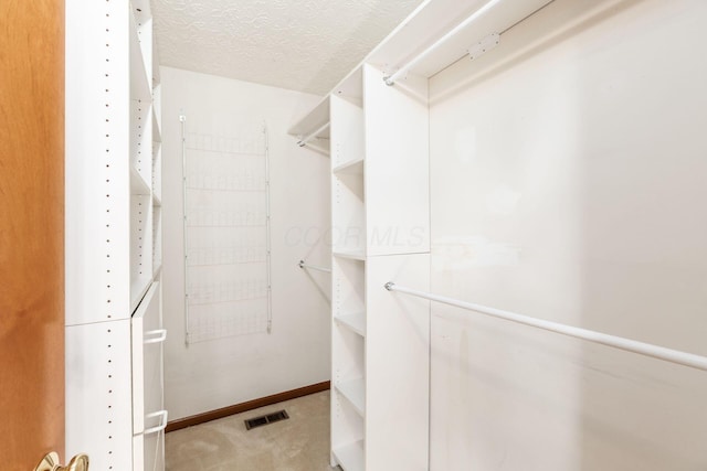 217 Knight Dream St, Delaware, OH 43015 - walk in closet with carpet floors