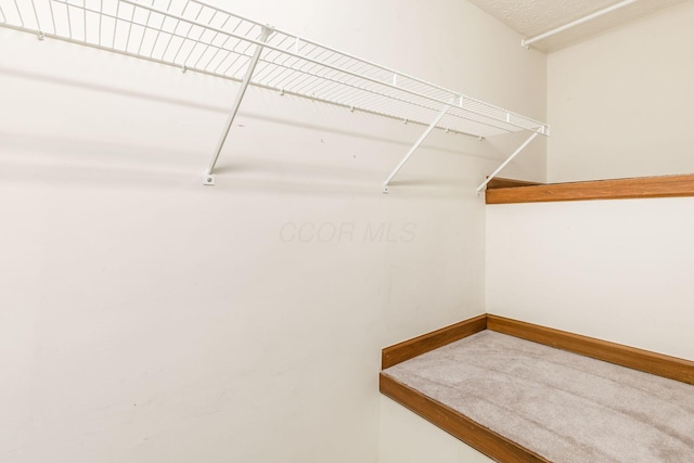 217 Knight Dream St, Delaware, OH 43015 - view of spacious closet