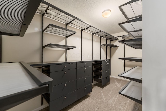 978 Vanwert Loop, Blacklick, OH 43004 - spacious closet with carpet floors