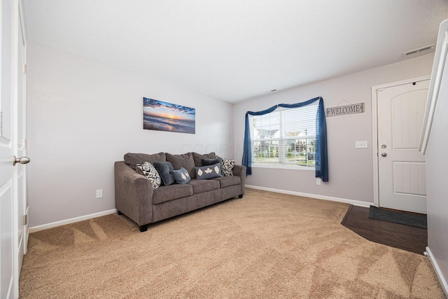 5731 Passage Creek Dr, Dublin, OH 43016 - living room with carpet floors and baseboards