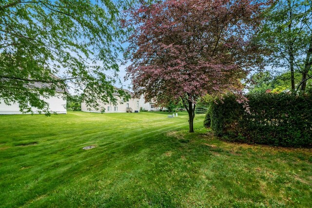 3051 Landen Farm Rd W, Hilliard, OH 43026 - photo 67