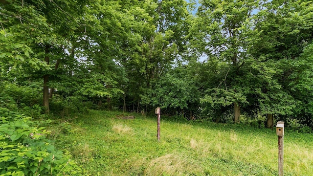 339 W Maple St, Granville, OH 43023 - view of undeveloped land