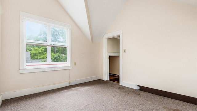 339 W Maple St, Granville, OH 43023 - empty room with carpet and lofted ceiling