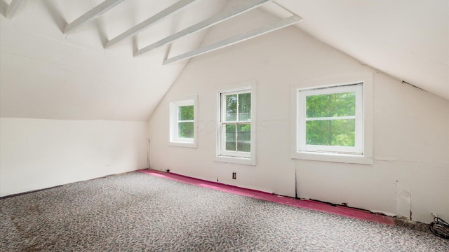 339 W Maple St, Granville, OH 43023 - additional living space with vaulted ceiling and carpet