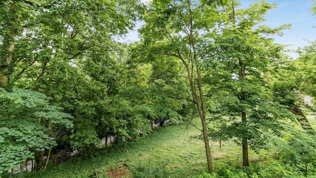 339 W Maple St, Granville, OH 43023 - view of tree filled area