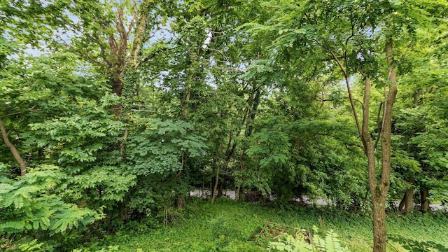 339 W Maple St, Granville, OH 43023 - view of undeveloped land
