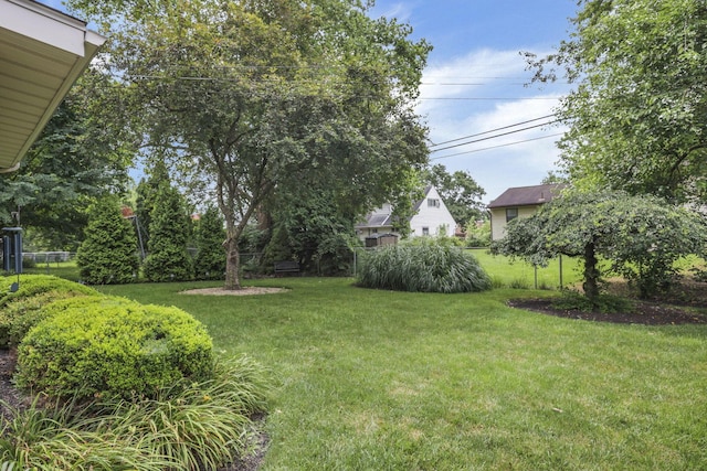 4861 Dickens Dr, Columbus, OH 43227 - view of grassy yard