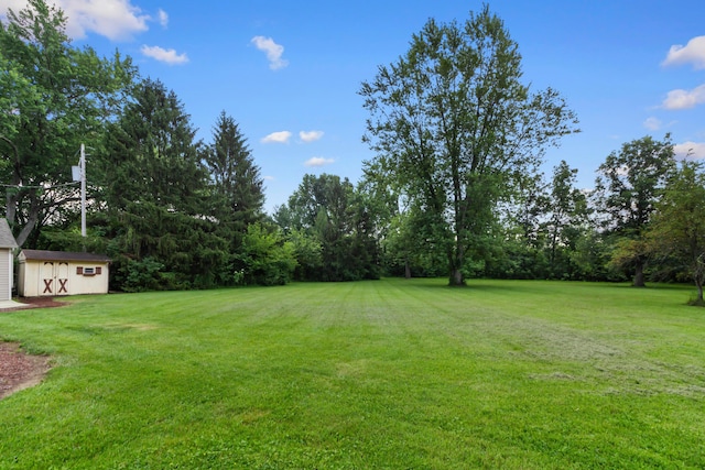 6983 Doran Dr, New Albany, OH 43054 - view of grassy yard featuring a storage shed