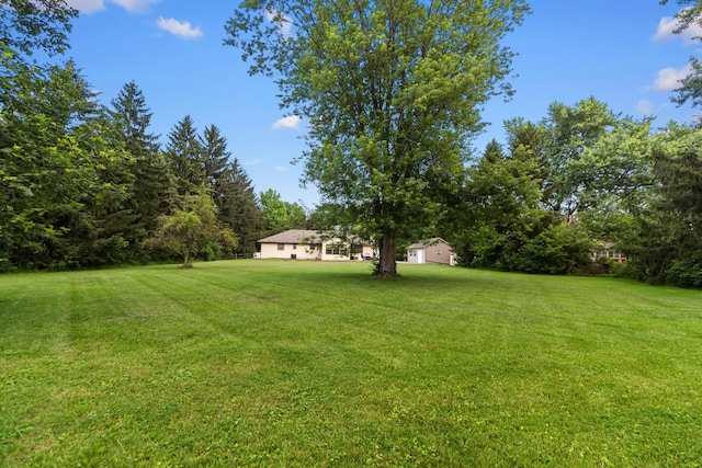 6983 Doran Dr, New Albany, OH 43054 - view of grassy yard