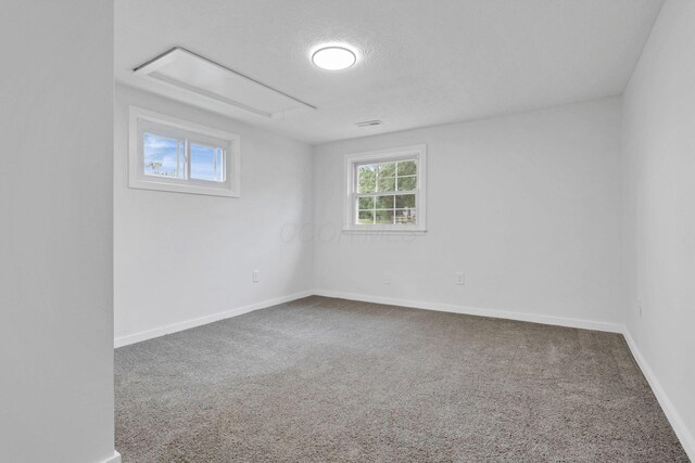 9141 Water St, Williamsport, OH 43164 - photo 12