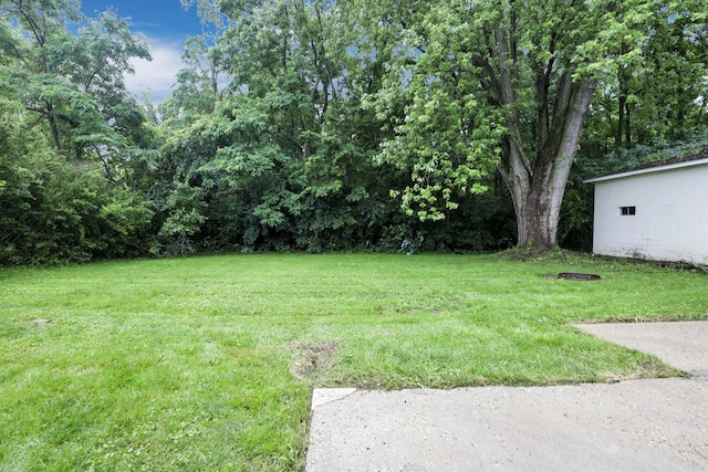 9141 Water St, Williamsport, OH 43164 - photo 50