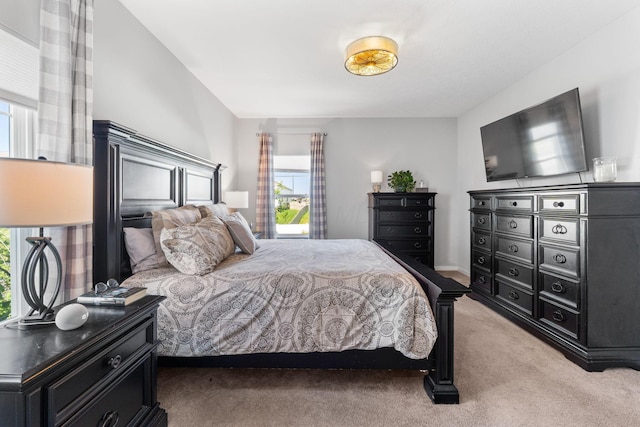 152 Natalie Ln, Granville, OH 43023 - bedroom featuring light carpet