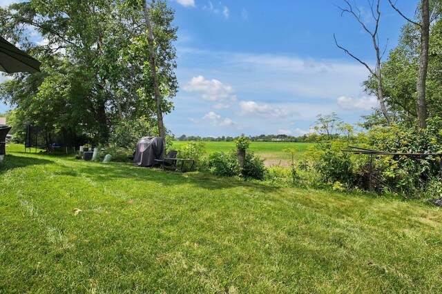 4321 Coble Glen Ln, Canal Winchester, OH 43110 - photo 33
