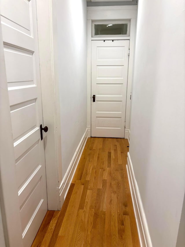 252 W Hubbard Ave, Columbus, OH 43215 - hallway with light wood finished floors and baseboards