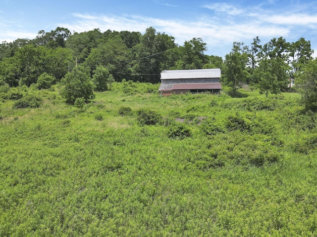 39703 Maysville Greendale Rd, Logan, OH 43138 - view of yard with a view of trees