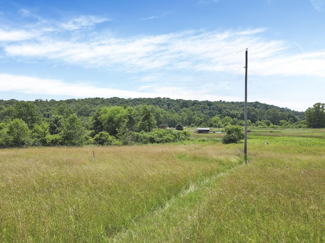 39703 Maysville Greendale Rd, Logan, OH 43138 - view of wooded area with a view of countryside