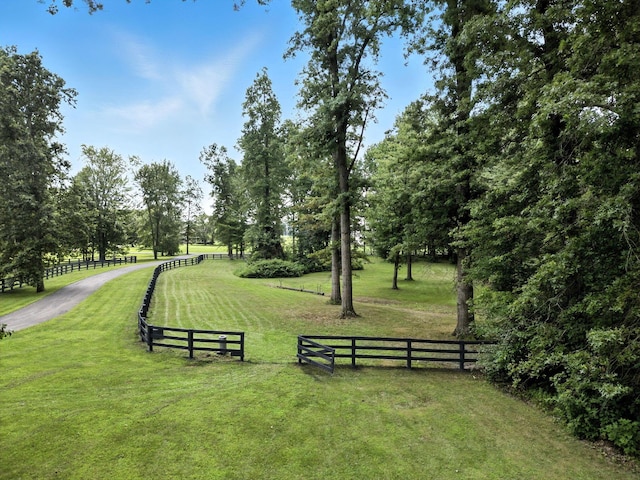 8174 Windy Hollow Rd, Johnstown, OH 43031 - photo 74