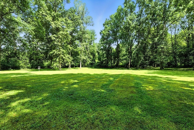 8174 Windy Hollow Rd, Johnstown, OH 43031 - photo 68