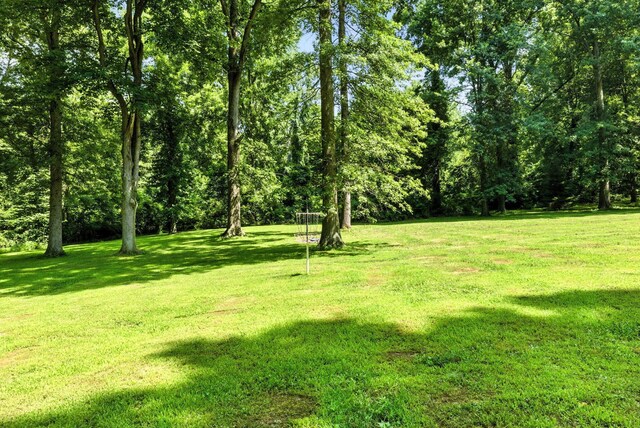 8174 Windy Hollow Rd, Johnstown, OH 43031 - photo 62
