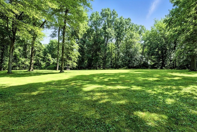 8174 Windy Hollow Rd, Johnstown, OH 43031 - photo 63