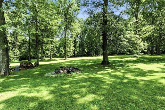 8174 Windy Hollow Rd, Johnstown, OH 43031 - photo 64
