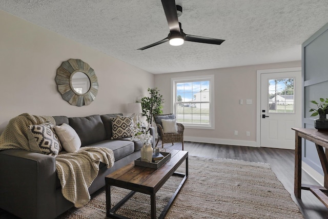 101 Circle Dr, Baltimore, OH 43105 - living area featuring plenty of natural light, a textured ceiling, wood finished floors, and a ceiling fan