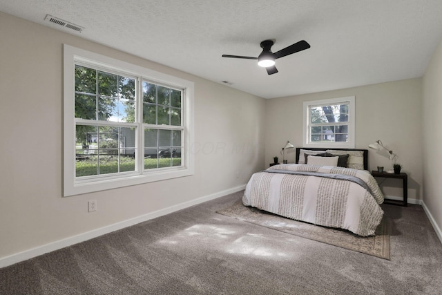 101 Circle Dr, Baltimore, OH 43105 - carpeted bedroom featuring multiple windows and a ceiling fan