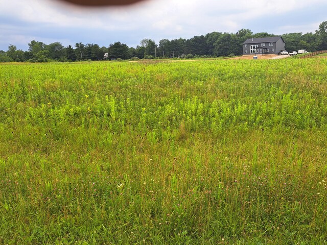 0 Blue Church Rd, Sunbury, OH 43074 - photo 4