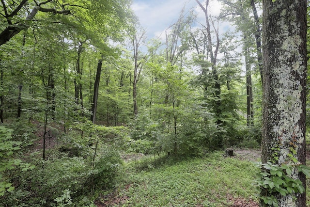 12217 Goldenrod Ln, Amanda, OH 43102 - photo 40