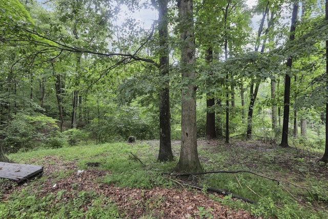 12217 Goldenrod Ln, Amanda, OH 43102 - photo 41