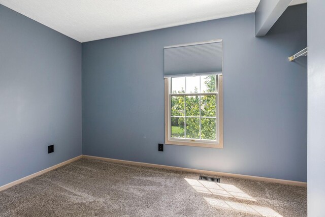 1303 Tarragon Dr, Marysville, OH 43040 - photo 20