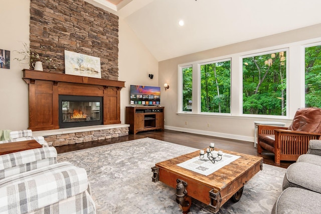 8622 Lott Rd, Marengo, OH 43334 - living room featuring plenty of natural light, wood finished floors, a stone fireplace, and high vaulted ceiling