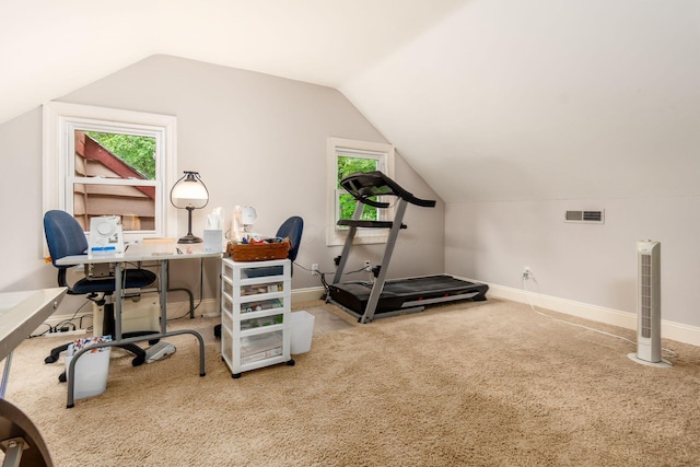 8622 Lott Rd, Marengo, OH 43334 - office area featuring carpet, vaulted ceiling, and healthy amount of natural light