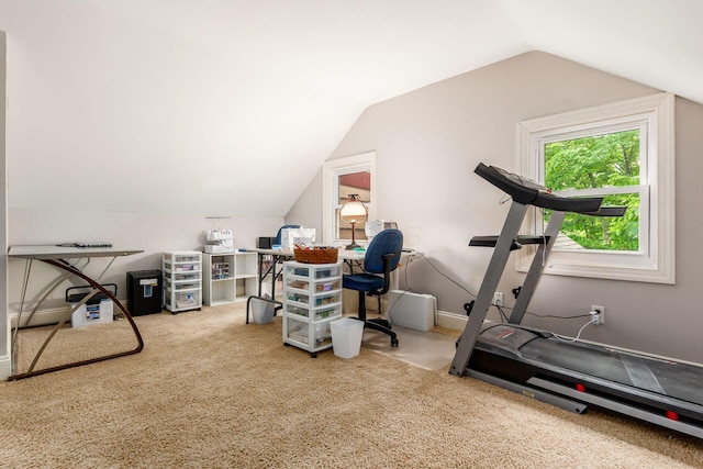 8622 Lott Rd, Marengo, OH 43334 - workout room featuring carpet and vaulted ceiling