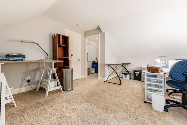8622 Lott Rd, Marengo, OH 43334 - office space with vaulted ceiling and carpet floors