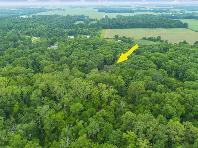 8622 Lott Rd, Marengo, OH 43334 - drone / aerial view of a forest