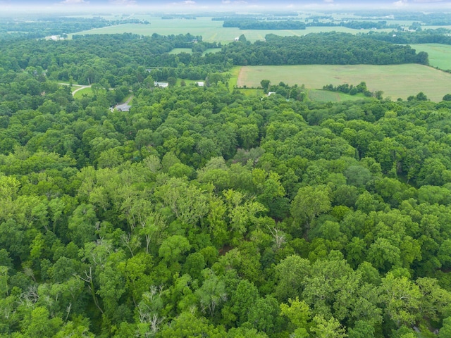 8622 Lott Rd, Marengo, OH 43334 - drone / aerial view of a forest