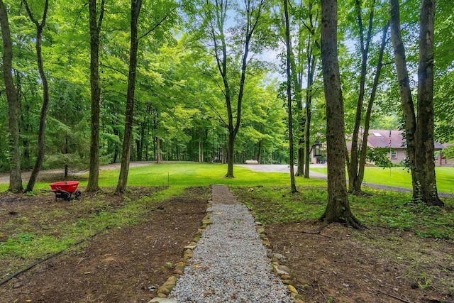 8622 Lott Rd, Marengo, OH 43334 - view of property's community with a yard