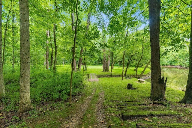 8622 Lott Rd, Marengo, OH 43334 - view of grassy yard