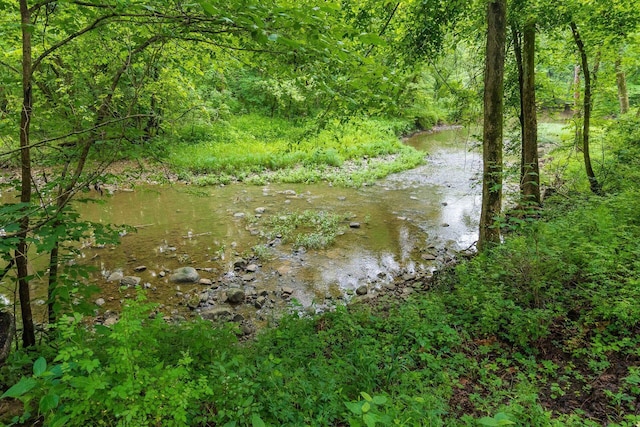 8622 Lott Rd, Marengo, OH 43334 - water view with a forest
