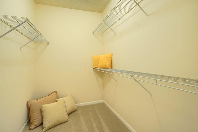 585 Ruttington Ln, Westerville, OH 43082 - photo 29