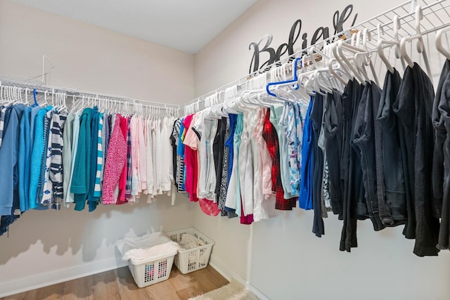 211 Talla Rd S, Delaware, OH 43015 - walk in closet with wood finished floors