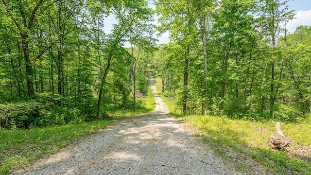 0 Cox Rd, Logan, OH 43138 - photo 63