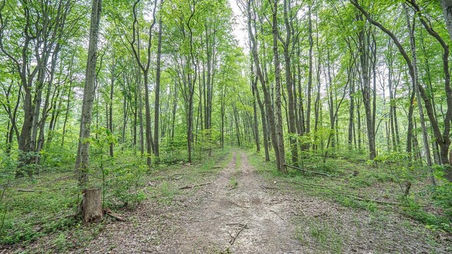 0 Cox Rd, Logan, OH 43138 - photo 65