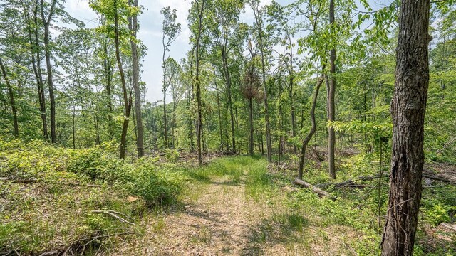0 Cox Rd, Logan, OH 43138 - photo 66